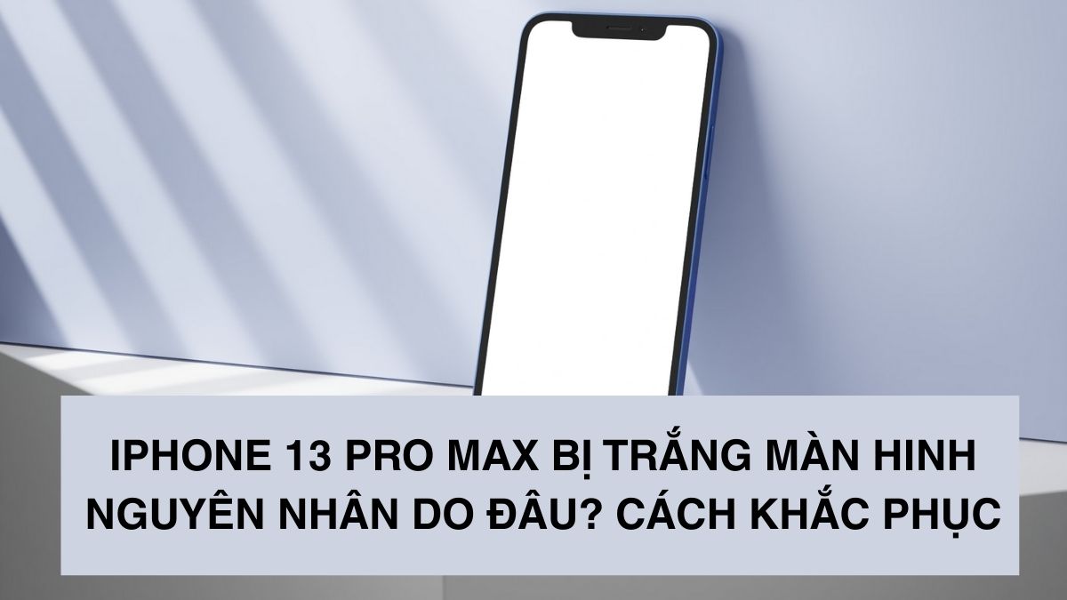 iPhone 13 Pro Max bị trắng màn hinh nguyên nhân do đâu? Cách khắc phục
